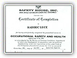 OCCUPATIONAL SAFETY AND HEALTH